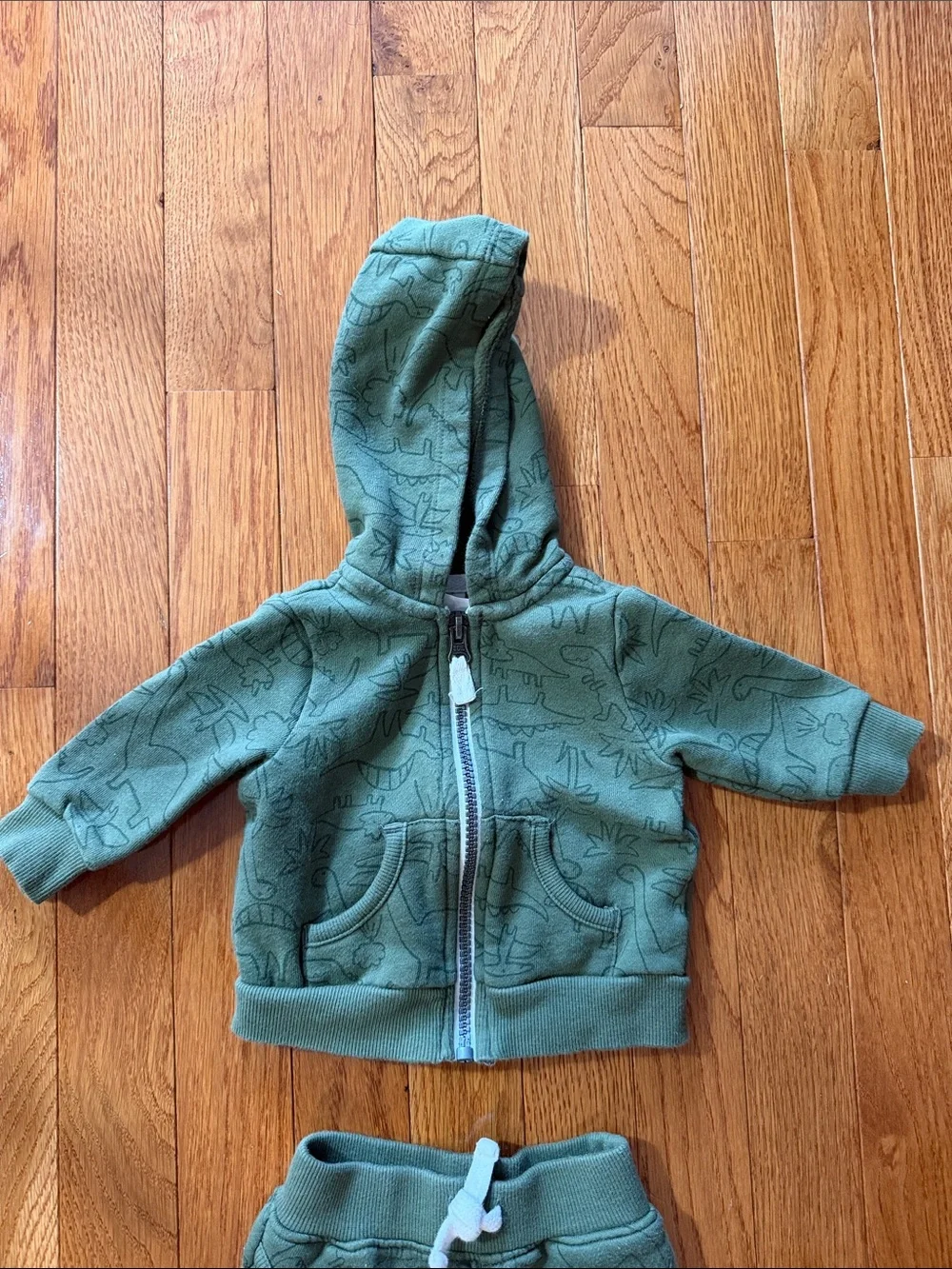 3M Green Dino Hoodie & Jogger Set